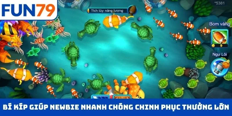 Bí kíp giúp newbie nhanh chóng chinh phục thưởng lớn