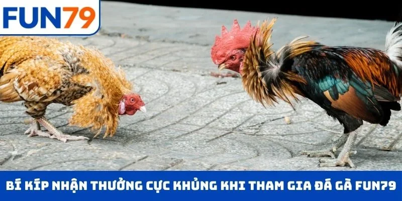 Bí kíp nhận thưởng cực khủng khi tham gia đá gà tại FUN79