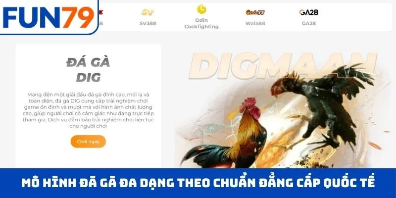 Mô hình đá gà đa dạng theo chuẩn đẳng cấp quốc tế
