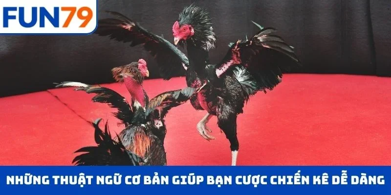 Những thuật ngữ cơ bản giúp bạn cược chiến kê dễ dàng