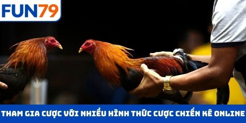 Tham gia cược với nhiều hình thức cược chiến kê online siêu hot